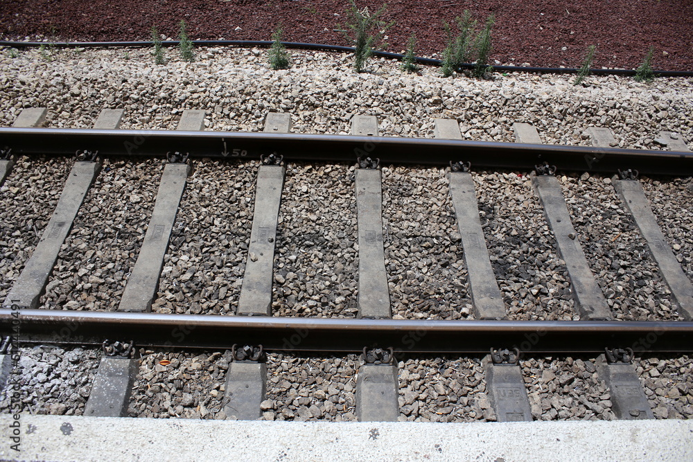 Naklejka premium Railway line across Israel from north to south