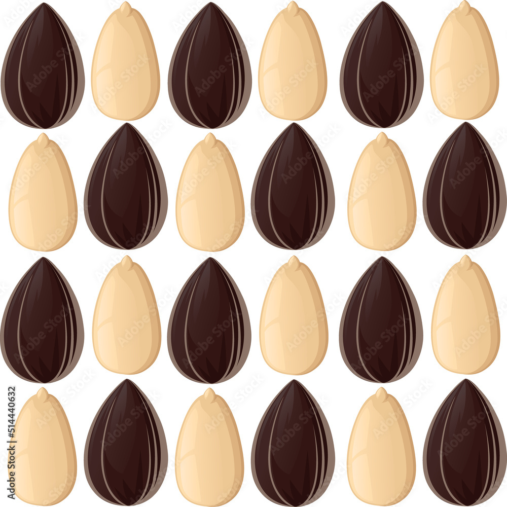Fototapeta premium Seamless pattern Sunflower seeds in a shell and without ready to eat snack vector illustration on white background