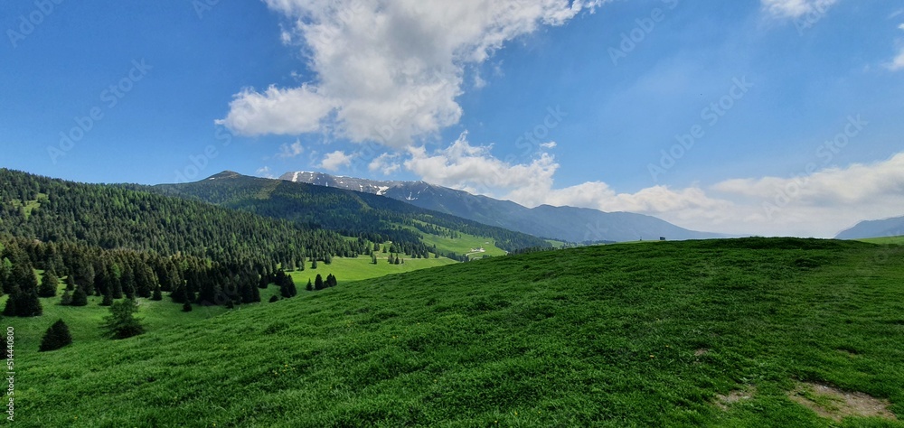 Fototapeta premium Asaigo6