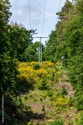 power line in a wooded area