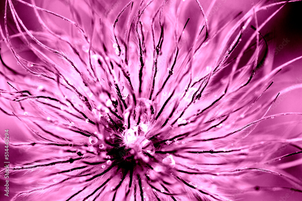 beautiful floral abstract background. Botanical flatlay. beautiful floral abstract background. Botanical flatlay.
