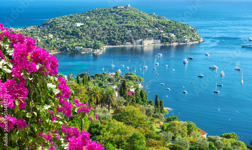 Summer holidays background rhododendron flowers Mediterranean sea