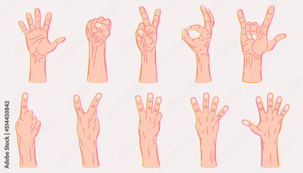Fototapeta premium Vector collection of various hand gestures with bright outline. Isolated on light beige background. Palm, fist, victory, ok, horns, counting: one, two, three, four, five.