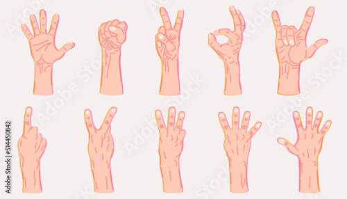 Vector collection of various hand gestures with bright outline. Isolated on light beige background. Palm, fist, victory, ok, horns, counting: one, two, three, four, five.
