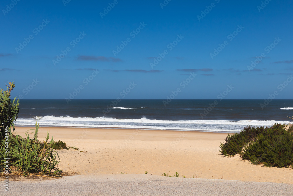 Front view of Praia da Murtinheira, a hidden paradise beach in Figueira da Foz, Portugal. Landscape of the Atlantic Ocean coast with sandy shore and growing wild vegetation