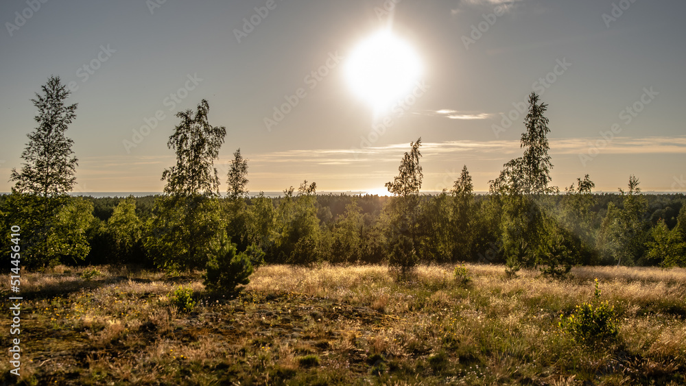 Sunset over the field and forest in the horizon