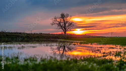 Sunset over the river with tree reflection
