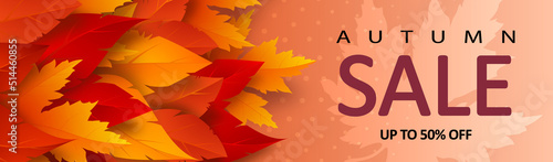 Autumn sale banner with bright realistic yellow  red  orange leaves and advertising discount text decoration. Vector illustration