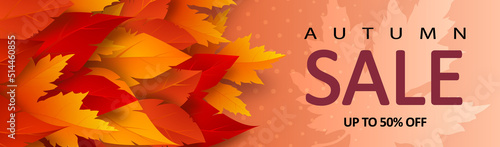 Autumn sale banner with bright realistic yellow, red, orange leaves and advertising discount text decoration. Vector illustration