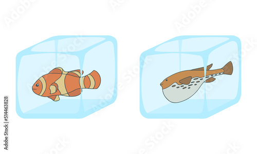 set of ice cube in which fish is frozen