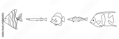 Different types of fish outline icons in set collection for design. Marine and aquarium fish bitmap symbol stock web illustration.