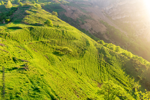 highland pasture  green sunny mountain slope with numerous grazing paths