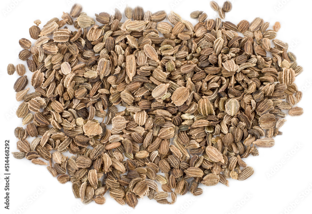 Carrot seeds isolated on a white background, top-down Carrot seeds isolated on a white background, top-down