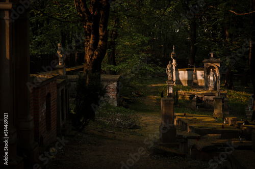 cmentarz, cementary