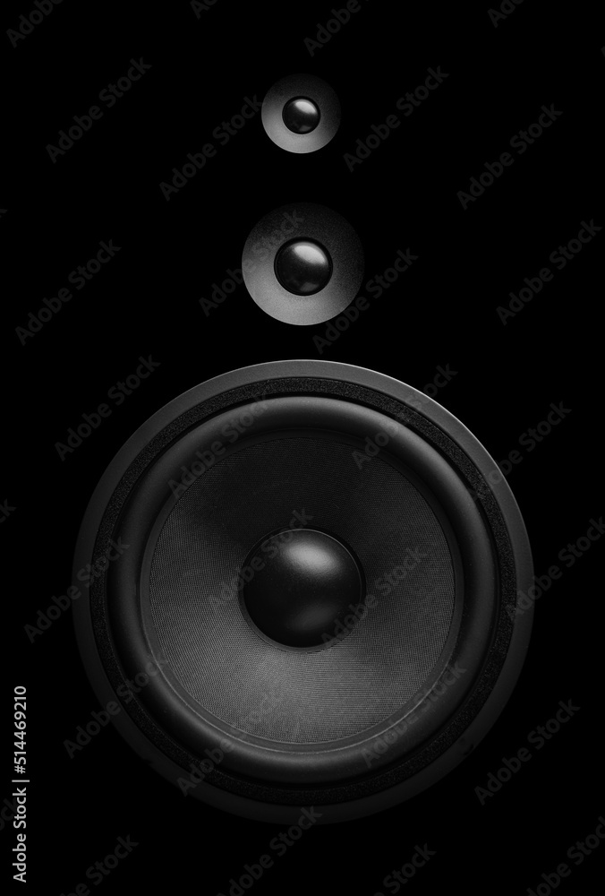 Black sound speaker close-up. Bass and tweeter in one speaker.