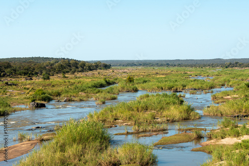 Riviere Olifants  Parc national Kruger  Afrique du Sud