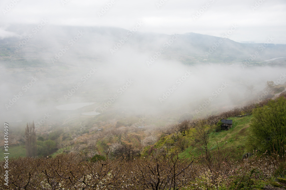 View of a beautiful foggy valley