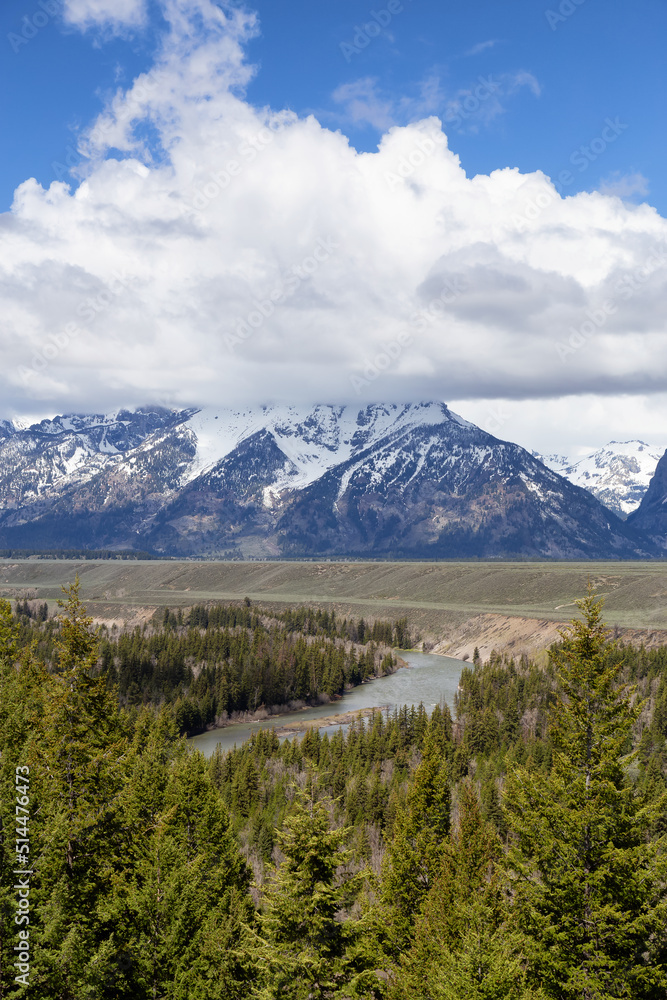 Obraz premium Trees, Mountains and a River in American Landscape. Spring Season. Grand Teton National Park. Wyoming, United States. Nature Background.