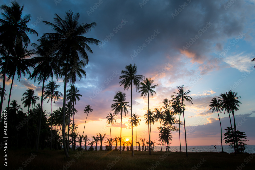 Toned image of a beautiful sunset on the background of silhouettes of palm trees Toned image of a beautiful sunset on the background of silhouettes of palm trees