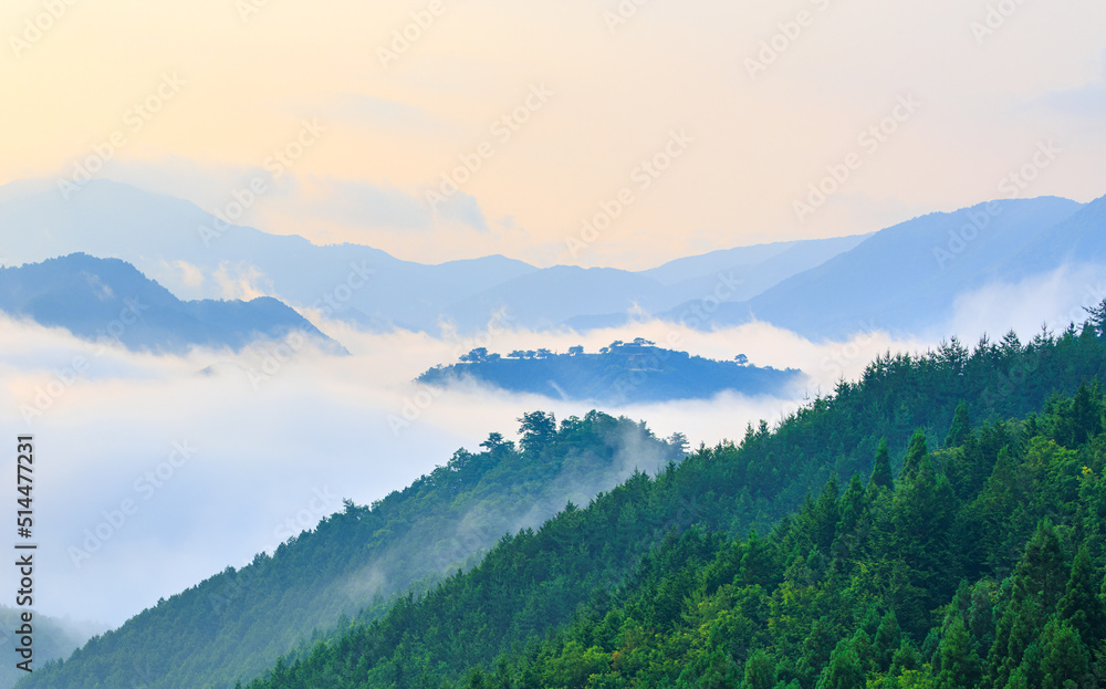 Heavy fog and mist surrounds forested mountain peaks at dawn