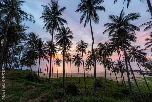 Silhouette of coconut palm tree at sunset on tropical beach