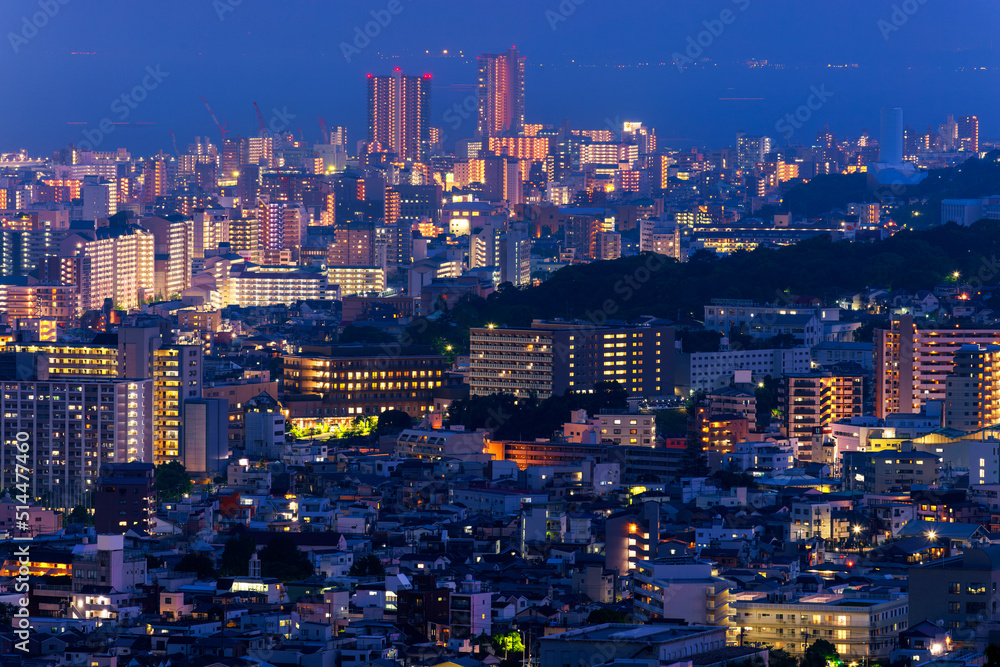 Lights from sprawling city on hillside at blue hour