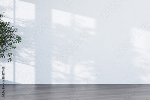 Abstract white studio background for product presentation empty room with shadows of window and flowers and palm leaves 3d room with copy space summer concert blurred backdrop.