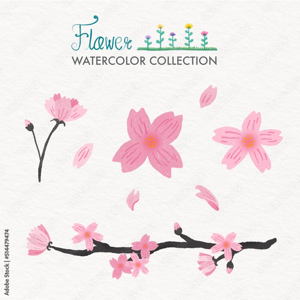 Obraz premium watercolor painting flowers sakura pink