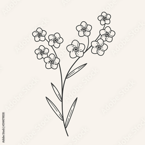 Forget me not flower. Modern graphic design geometric element. Simple contour vector illustration for cosmetics, perfumeries and food packaging.