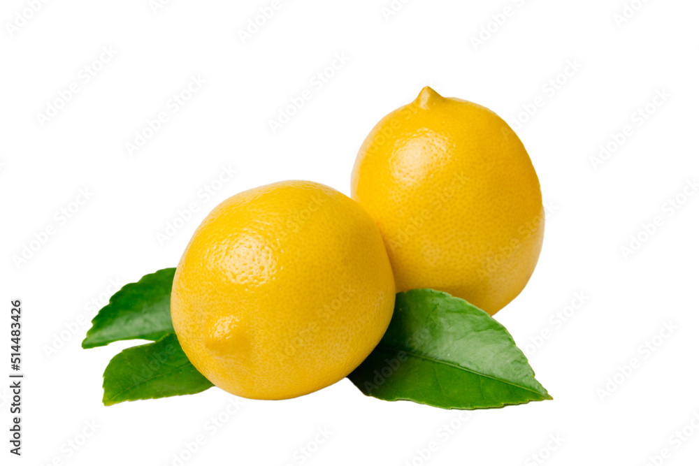 fresh lemon citrus fruit isolated on white background top view fresh lemon citrus fruit isolated on white background top view