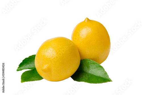 fresh lemon citrus fruit isolated on white background top view