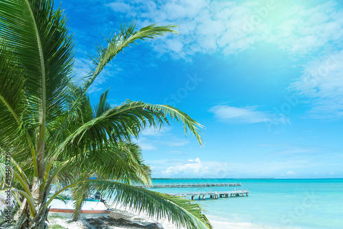 Palm trees on the beach against the blue sky and turquoise sea. Blurred pier in the background. Tropical landscape.