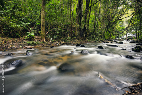 River in a Thailand rainforest