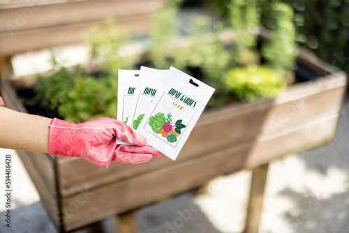 Holding vegetable seeds in paper packets with growing plants on background, close-up. Growing vegetables from seeds, design of packaging concept photo