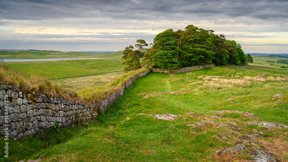 Hadrian's Wall above Housesteads Crags, in the Dark Skies section of the Northumberland 250, a scenic road trip though Northumberland with many places of interest along the route