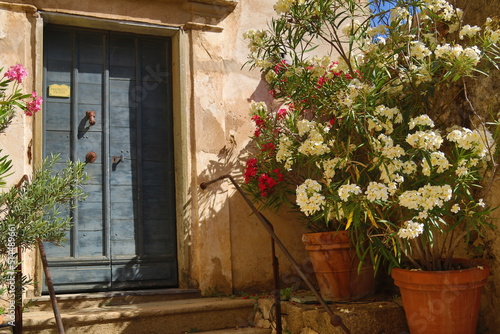 Blue grey wooden door with flowers outside, metal hand rail, Corsica, France
