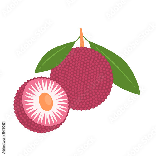 Bayberry whole fruit and halved isolated on white background. Myrica,  yangmei, candleberry, sweet gale, or wax-myrtle berry icon. Vector illustration of exotic fruits in flat style. photo