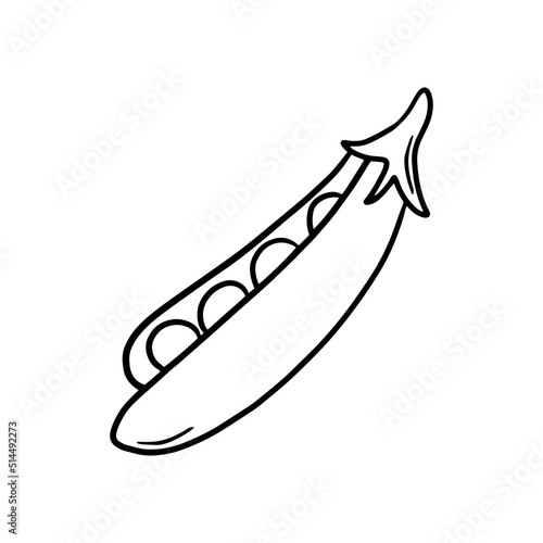Monochrome picture, pod with ripe peas, ripe vegetables, vector illustration in cartoon style