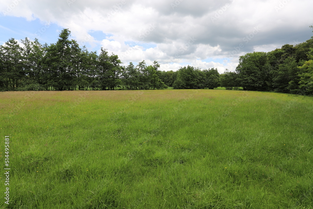 Beautiful clouds over a spring field with a forest edge. Photo was taken at the beginning of the summer. Beautiful clouds over a spring field with a forest edge. Photo was taken at the beginning of the summer.