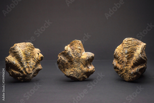 DETAILS OF ANCIENT PERUVIAN CERAMICS OBJECTS