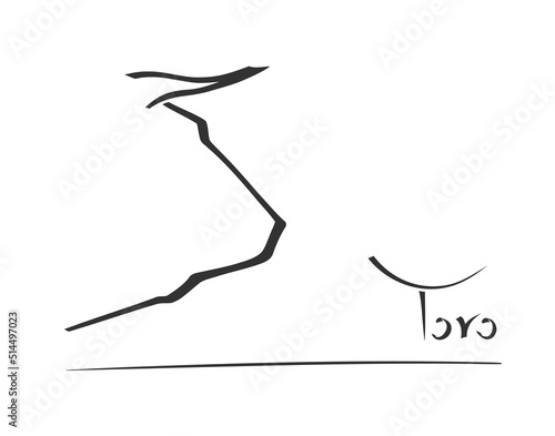 Spanish bull illustration