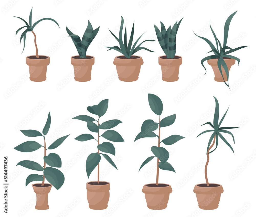House plants in pots, office flowers, cartoon tropic leaves. Green icon set of palm tree, philodendron, ficus, sansevieria, succulent. Garden plant vector illustration.