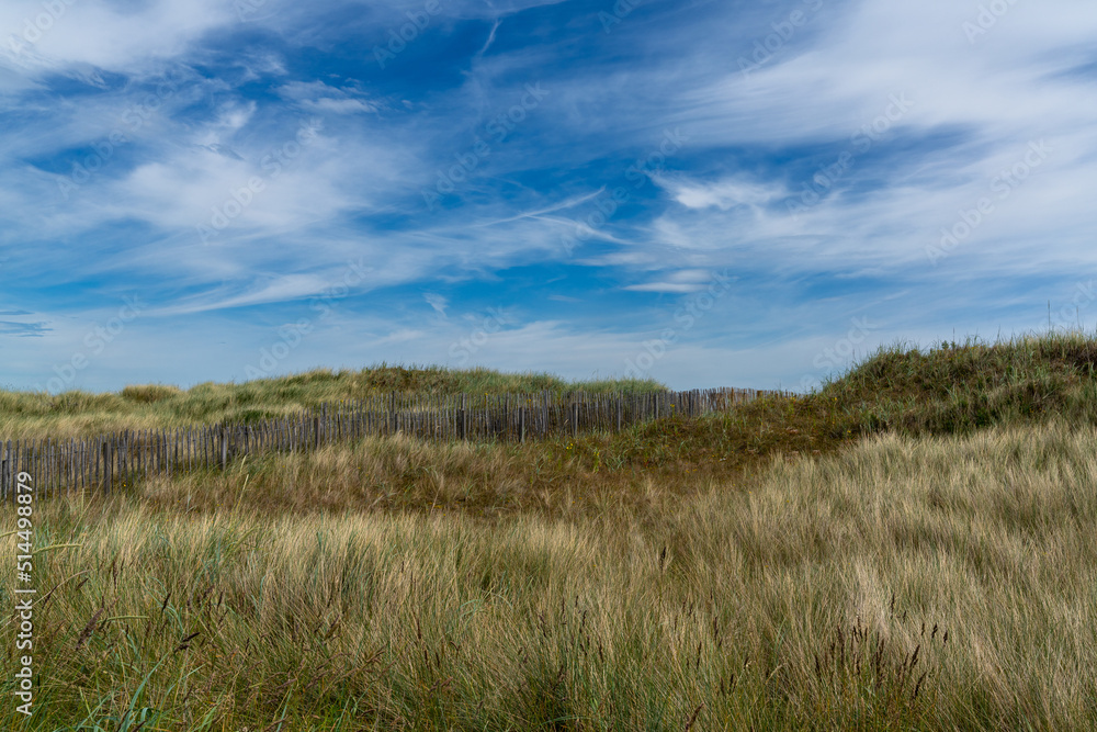 landscape view of grass and sand dunes with an erosion prevention fence at St. Andrews beach in Scotland