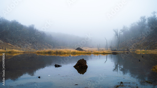 Obraz na płótnie Stagnant lagoon with a lot of fog in the forest. dramatic concept. Beaver damage to the environment. Endemic species Ushuaia, Argentina w salonie