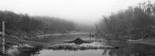 Obraz na płótnie Pond stagnant by a beaver dam reflecting damage to the forest. Black and white. dramatic concept. Ushuaia, Argentina w salonie