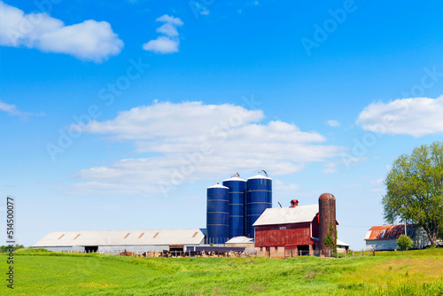 Obraz na plátne American Countryside With Cows and Farm