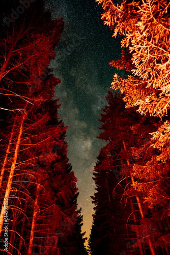 Milky Way Emerging between the Trees of a forrest illuminated from the backlights of a car