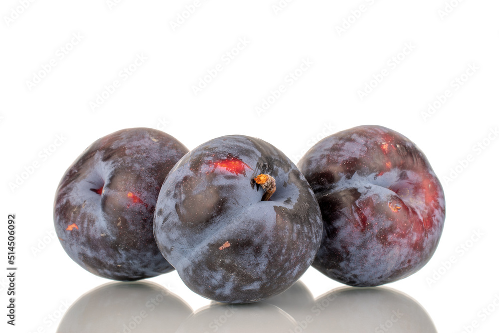 Fototapeta premium Three ripe black plums, close-up, isolated on a white background.
