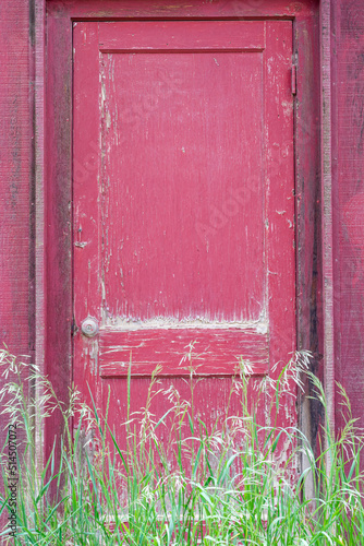Old red wooden door with peeling paint with grass at the entrance.