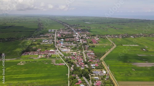 The Paddy Rice Fields of Kedah and Perlis, Malaysia photo